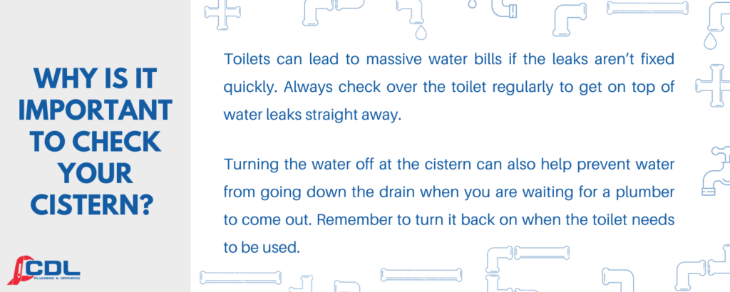 Leaking Toilet Cistern Causes and Fixes 1